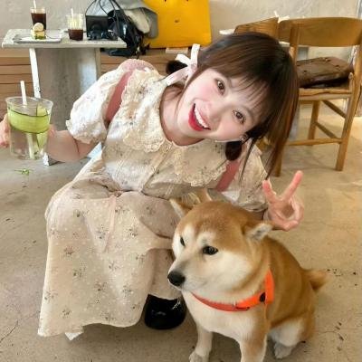 凝视猎物